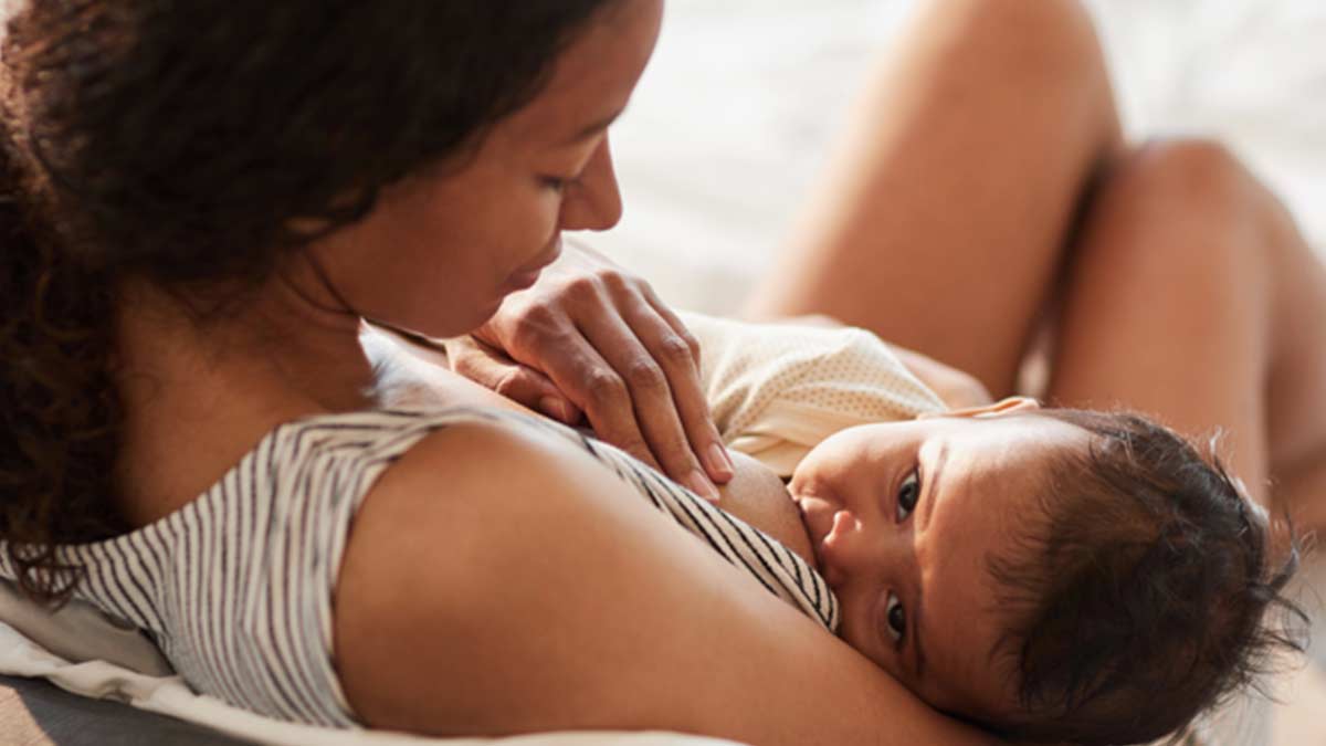 christmastitis-the-tawny-frogmouth