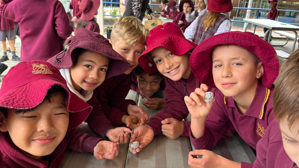 Sowing the seeds of Reconciliation at Brookvale Public School - The ...